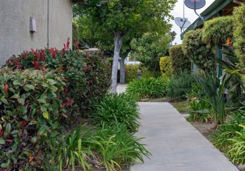 Nicely maintained landscaping